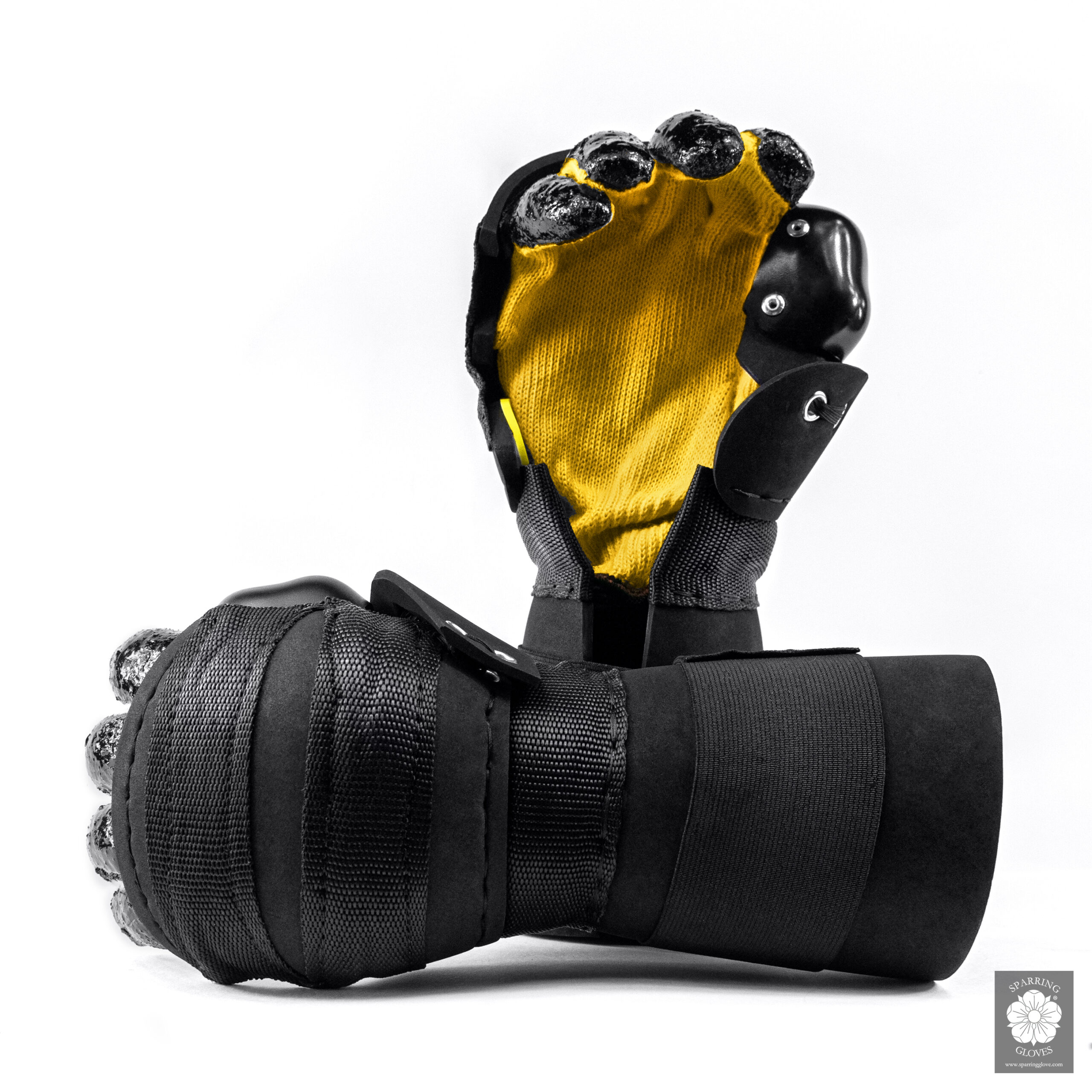 Sparring Gloves Special